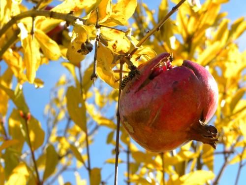 Outdoor Pictures 15