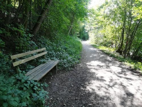 Outdoor Pictures 7