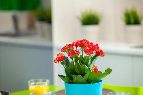 Outdoor Pictures 24
