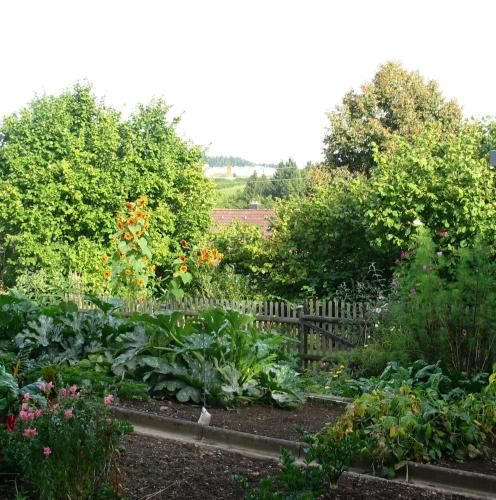2-Zimmer-Ferienwohnung Gartenblick