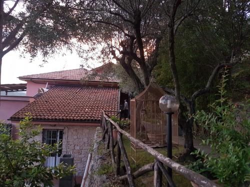 Outdoor Pictures 7