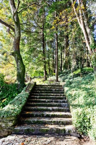 Outdoor Pictures 22