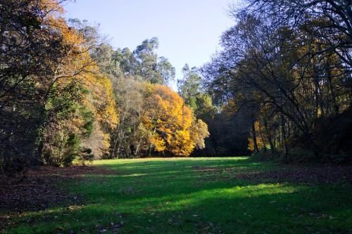 Outdoor Pictures 23
