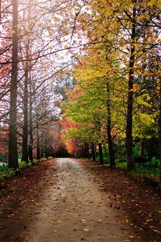 Outdoor Pictures 24