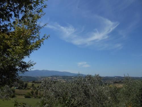 Outdoor Pictures 7