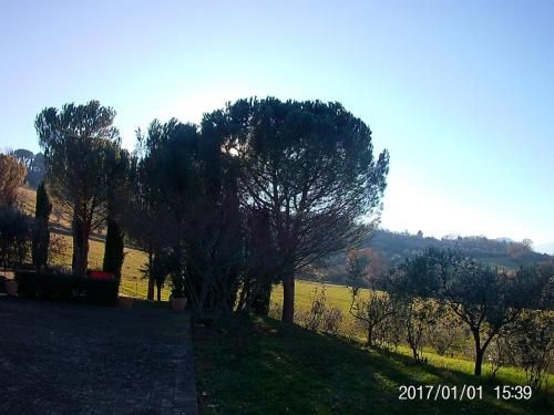 Outdoor Pictures 8