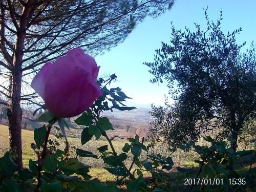 Outdoor Pictures 10