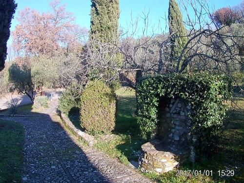 Outdoor Pictures 12