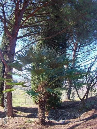 Outdoor Pictures 13