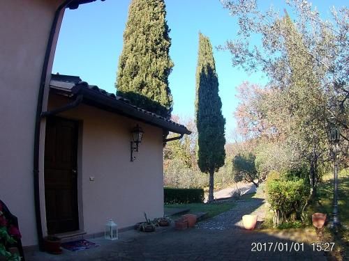 Outdoor Pictures 17