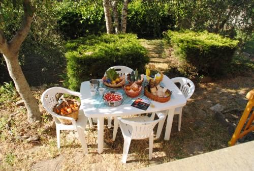 Outdoor Pictures 7