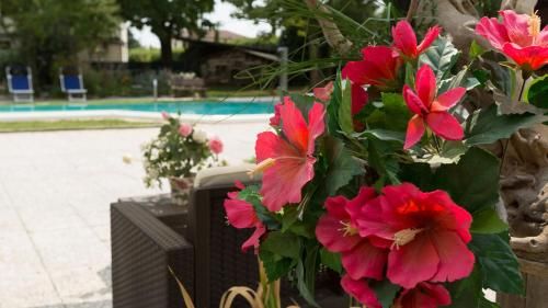 Outdoor Pictures 23
