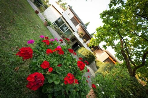 Outdoor Pictures 18