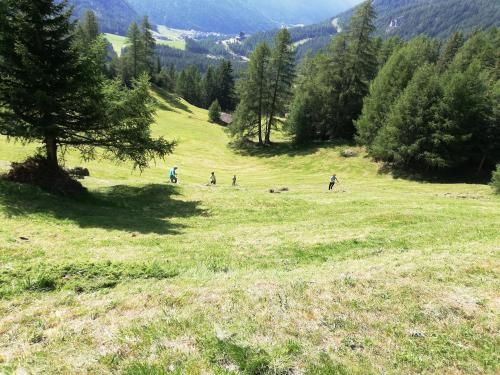 Outdoor Pictures 11