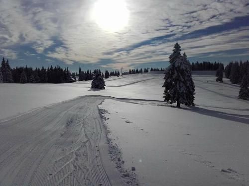 Rogla Chalet Urska