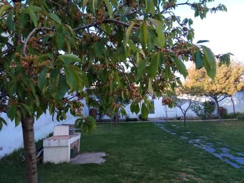 Outdoor Pictures 5