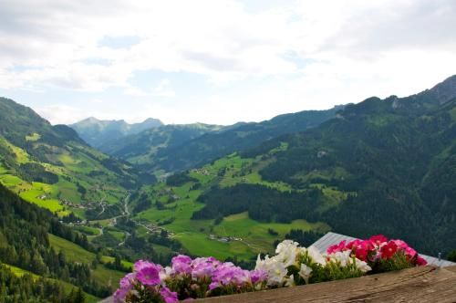 Outdoor Pictures 20