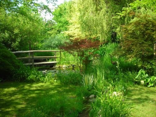 Outdoor Pictures 8