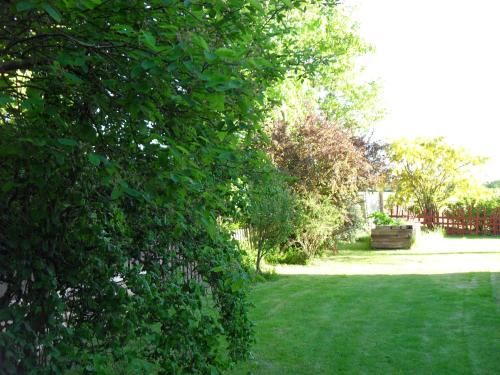 Outdoor Pictures 21