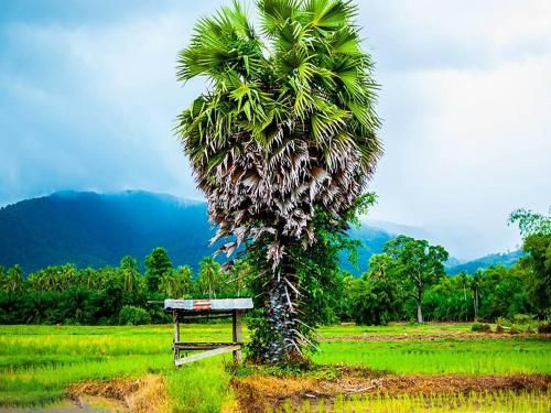 Outdoor Pictures 21