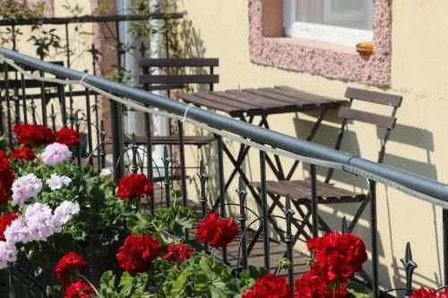 Outdoor Pictures 22