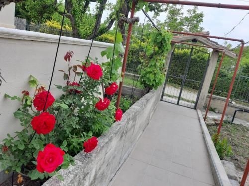 Outdoor Pictures 11