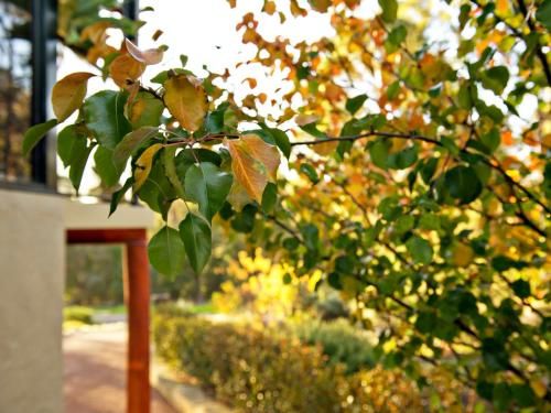 Outdoor Pictures 17
