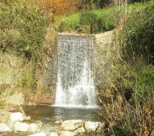 Outdoor Pictures 9