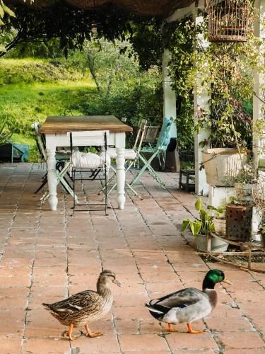 Outdoor Pictures 15