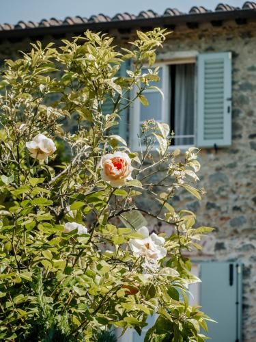 Outdoor Pictures 24