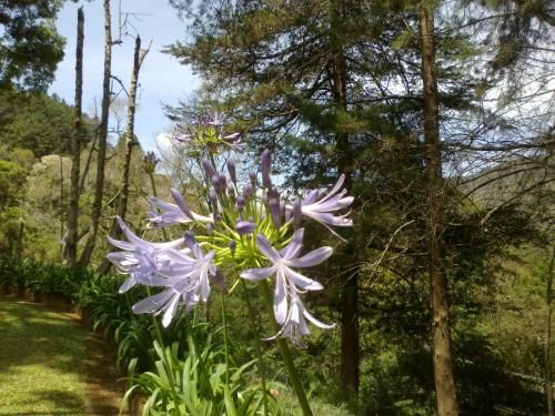 Outdoor Pictures 24