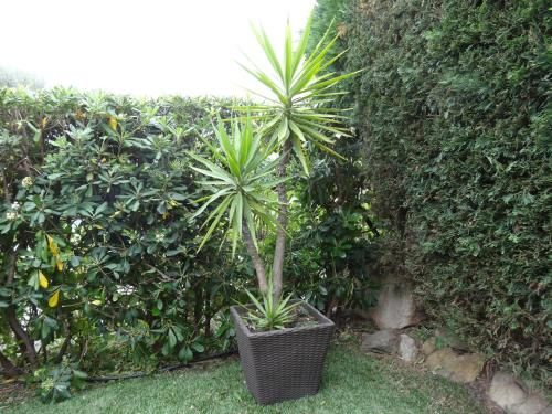 Outdoor Pictures 11
