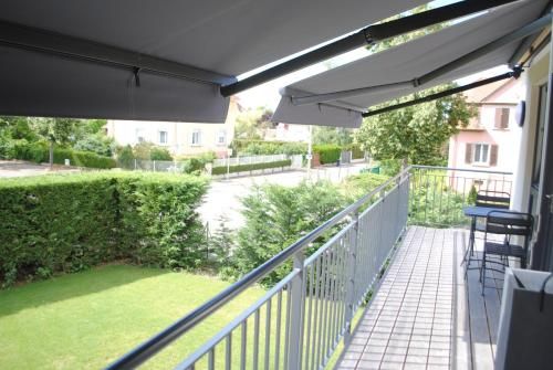 Outdoor Pictures 10