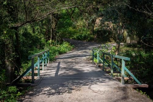 Outdoor Pictures 23