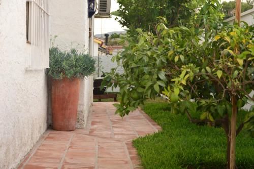 Outdoor Pictures 12