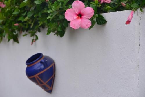 Outdoor Pictures 20