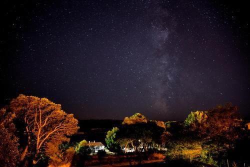 Outdoor Pictures 22