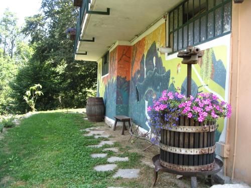Outdoor Pictures 24