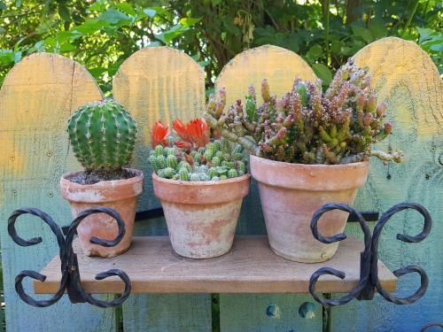 Outdoor Pictures 15
