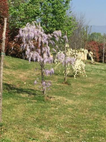 Outdoor Pictures 12