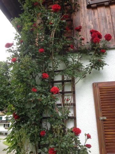 Outdoor Pictures 15