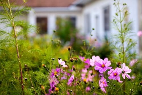 Outdoor Pictures 1