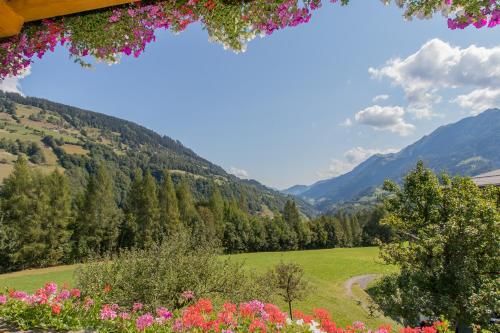 Outdoor Pictures 10
