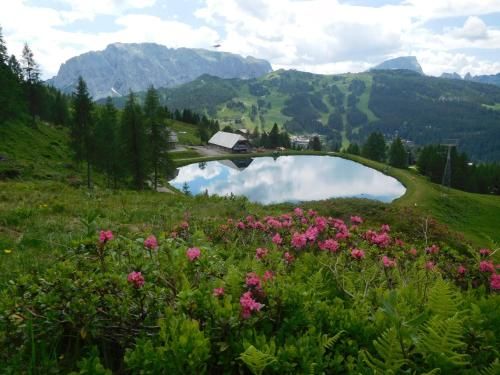 Outdoor Pictures 10