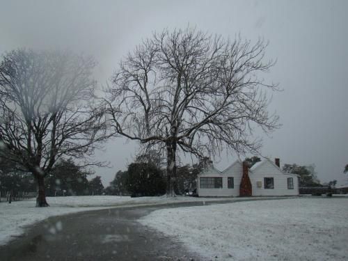 Outdoor Pictures 1