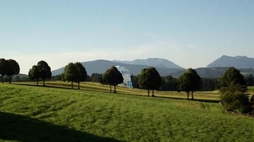 Outdoor Pictures 21