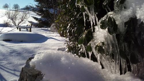 Outdoor Pictures 7