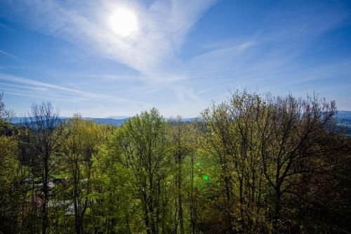 Outdoor Pictures 12