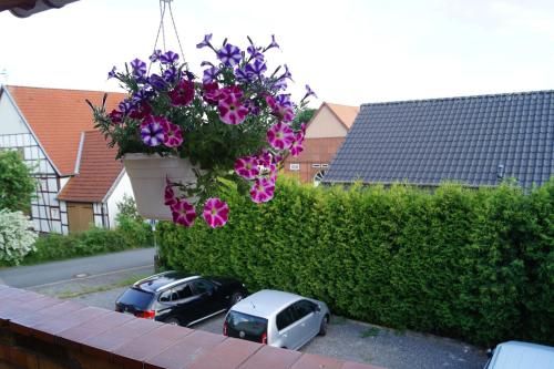 Outdoor Pictures 15