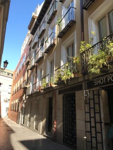 Apartment in Sol